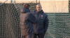 Copa del Rey: Guardiola the best ever - Fabregas 